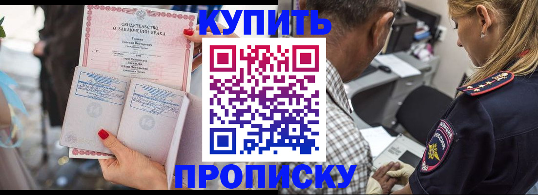 прописка законно в Шумихе